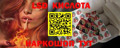 MESCALINE Гатчина