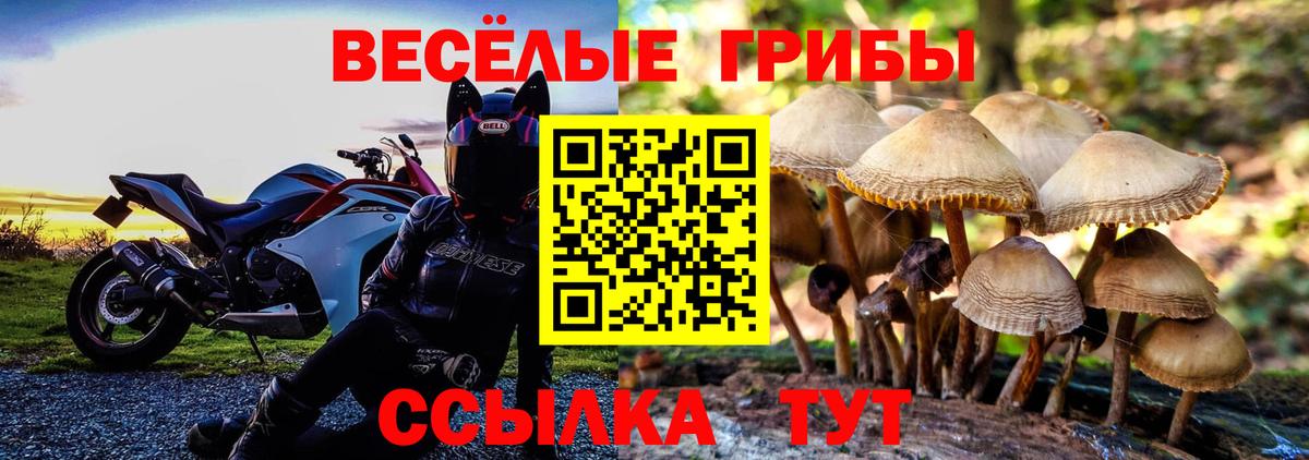 Галлюциногенные грибы ЛСД Семёнов